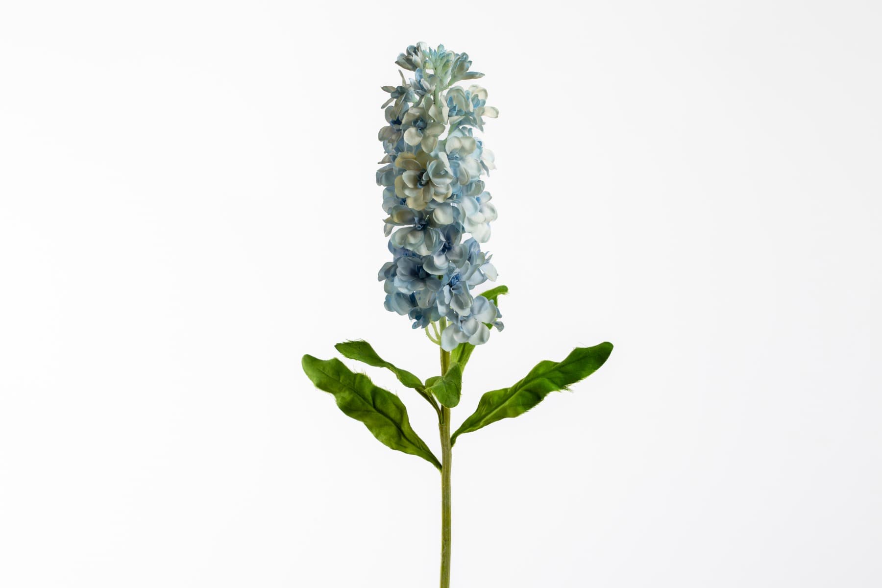 29" Stock fresh touch blue