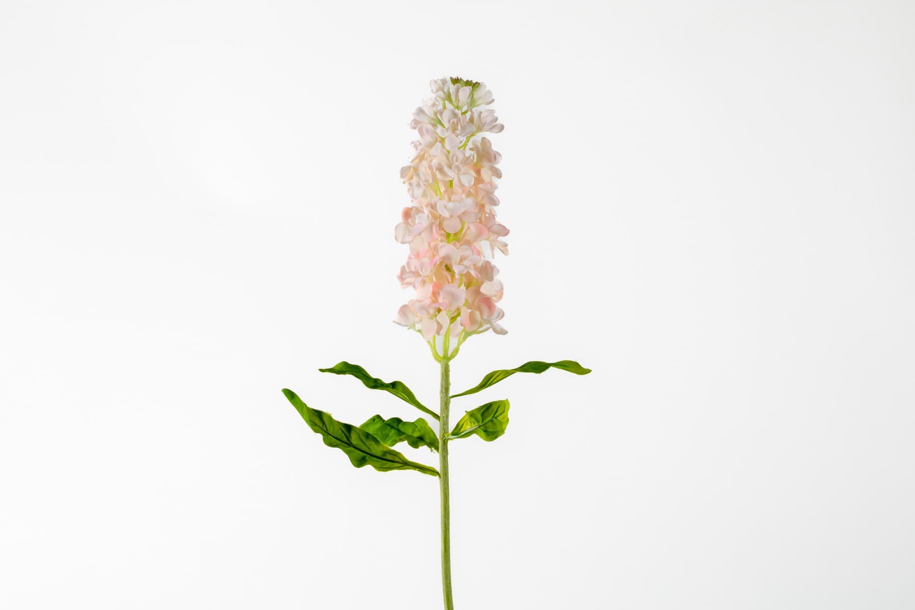 29" Pink Stock fresh touch