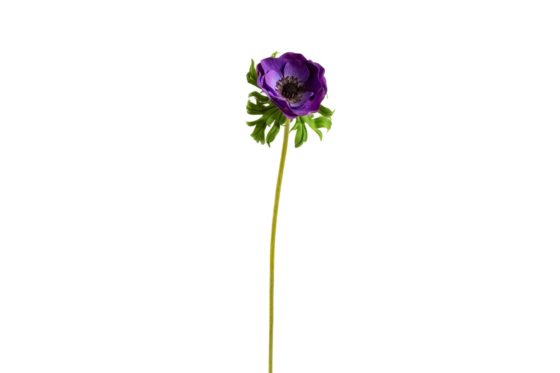 27" Purple Poppy Spray