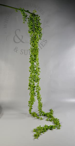 48" hanging succulent spray