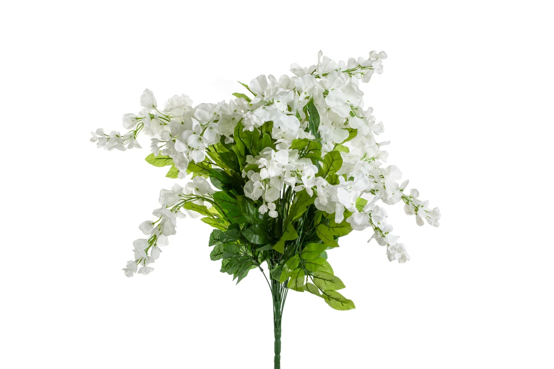 30" White Wisteria Bush