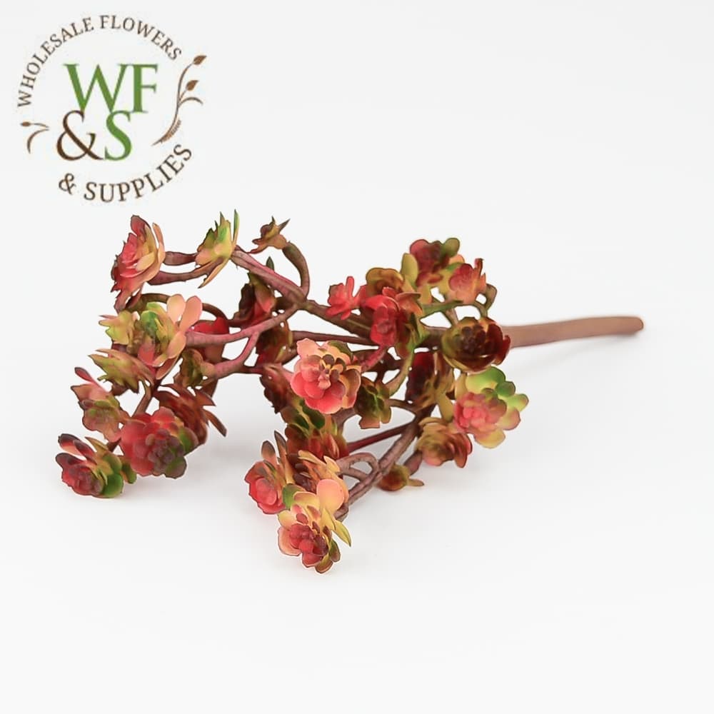 9" sedum succulent pick - burgundy, green