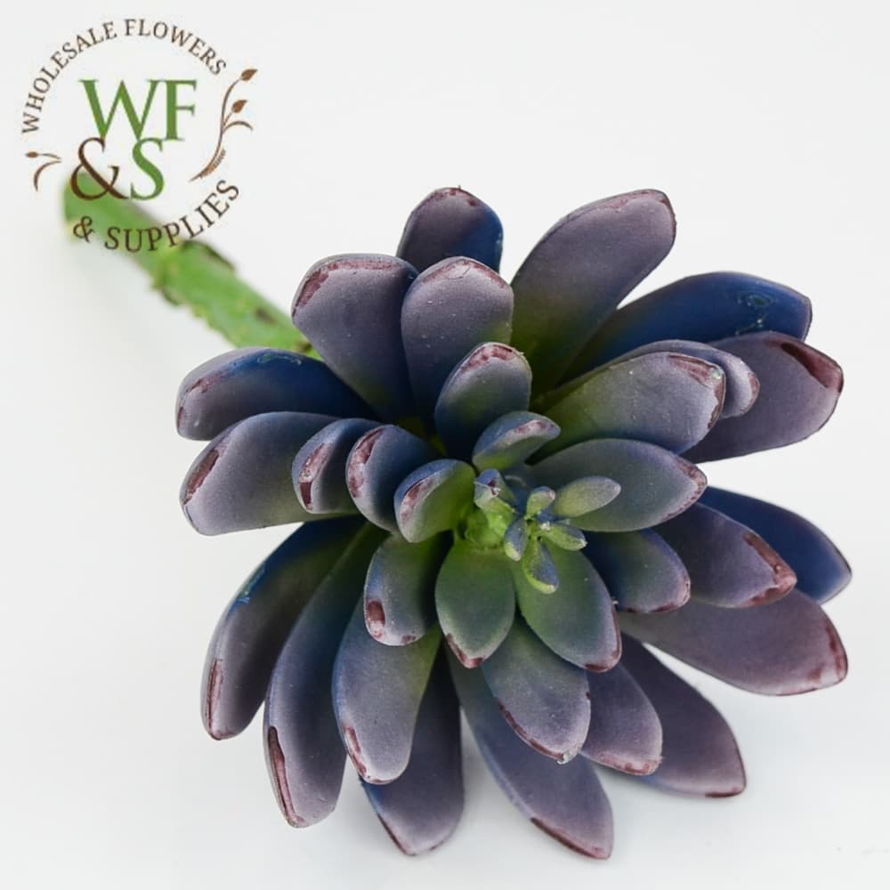 8" Lavender Echeveria Pick