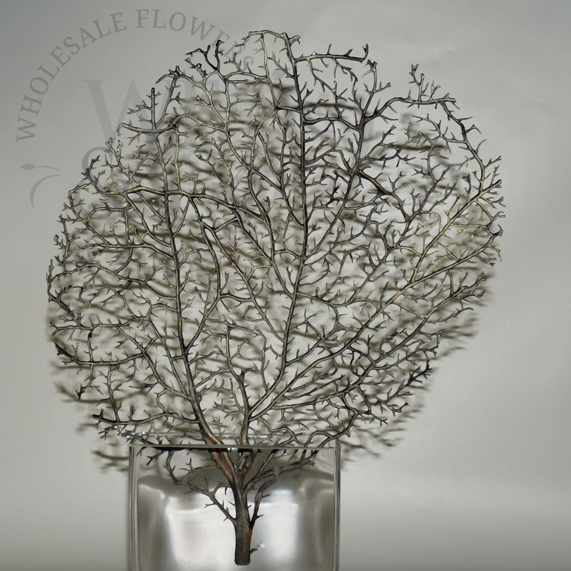 14.5" Coral Fan Artificial Black