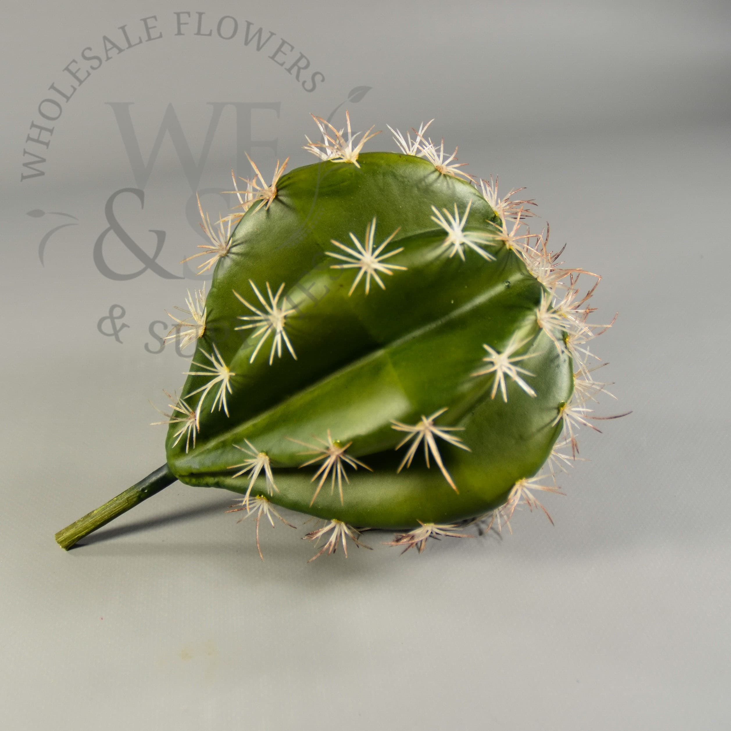 Cactus Pick Green 10"