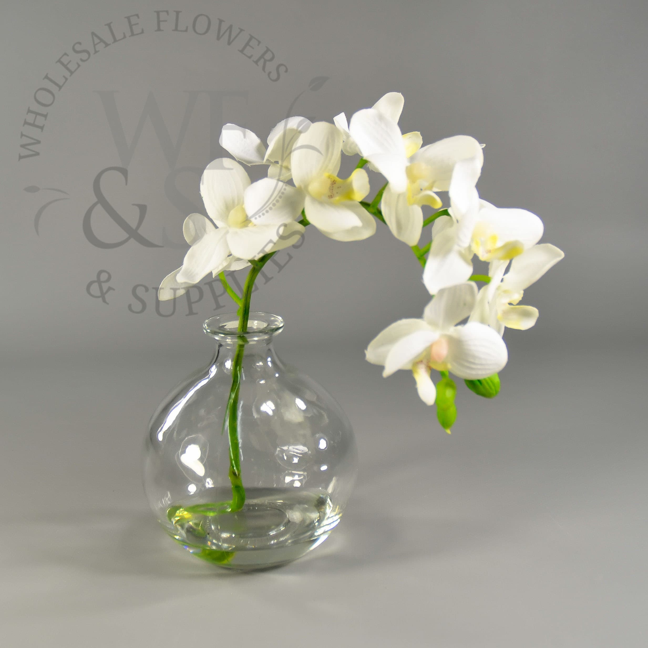 Faux Phalaenopsis Orchid Stem in Glass Vase DISC
