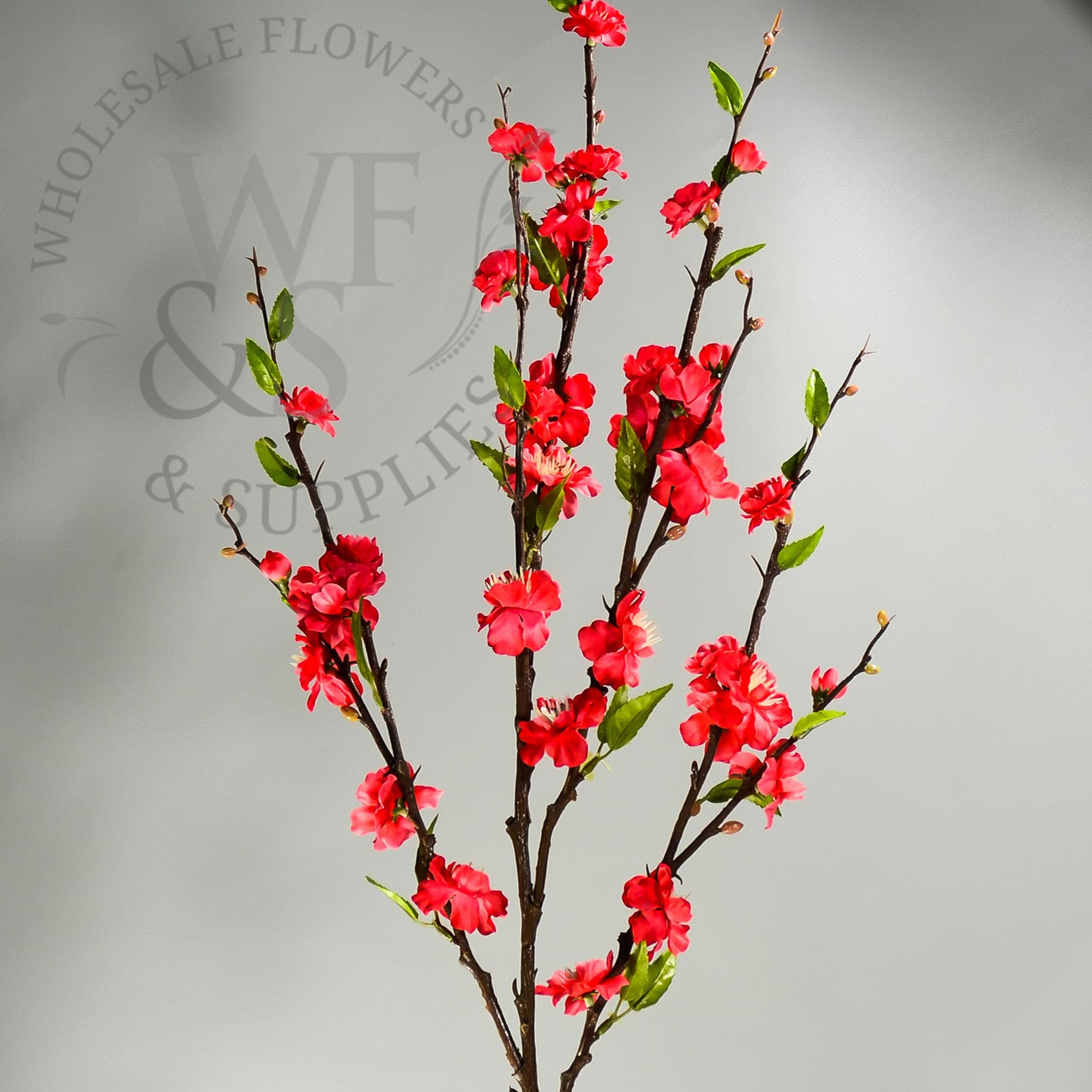 39" Cherry Blossom Spray Coral Discontinued