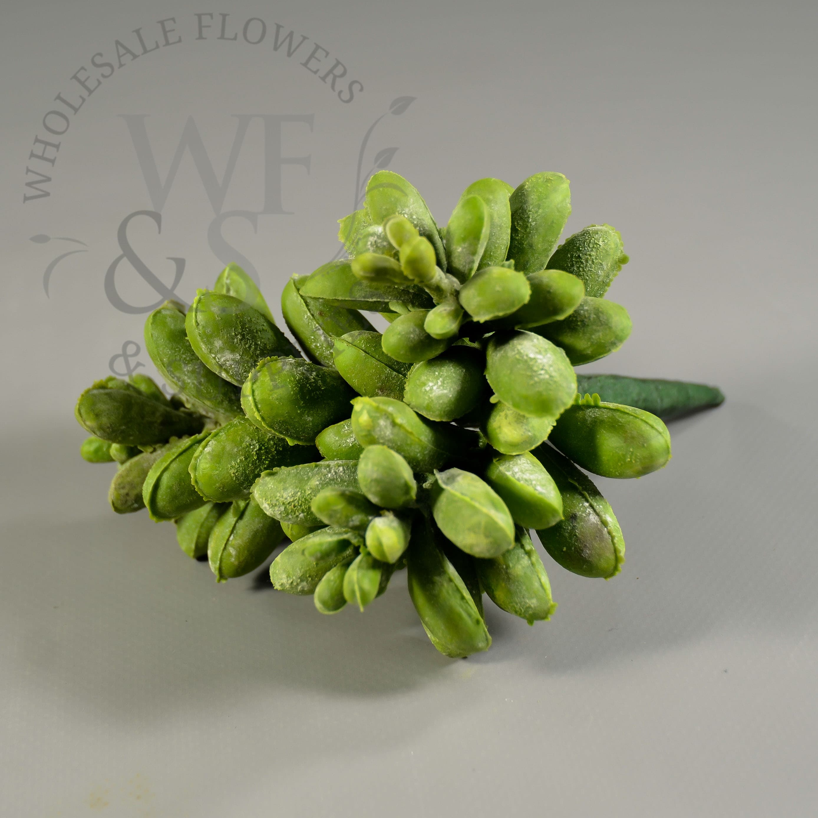 6" Sedum Succulent Pick Green