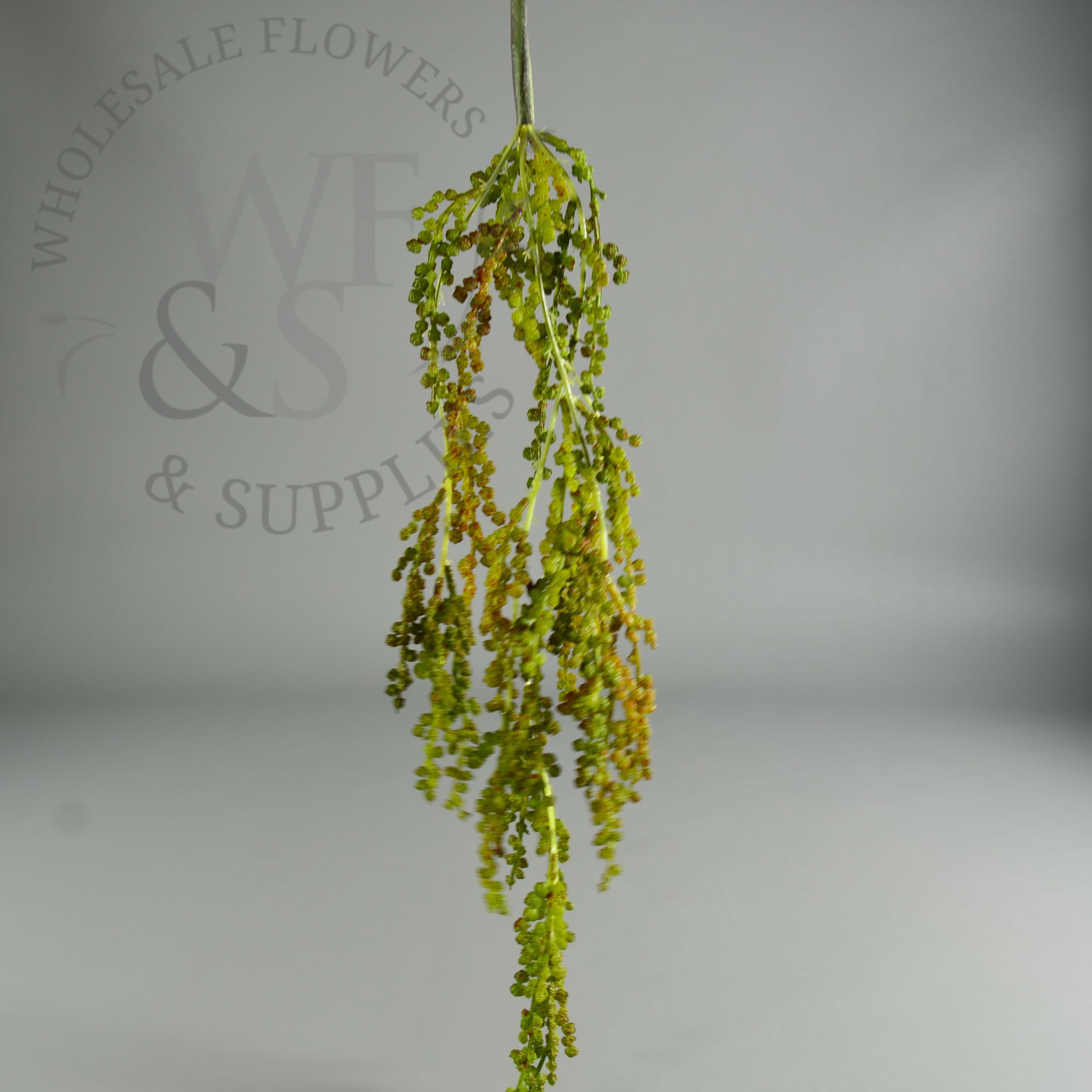 23" String of Pearls Hanging Pick