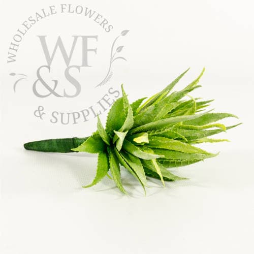 Mini Aloe Succulent Green 8"