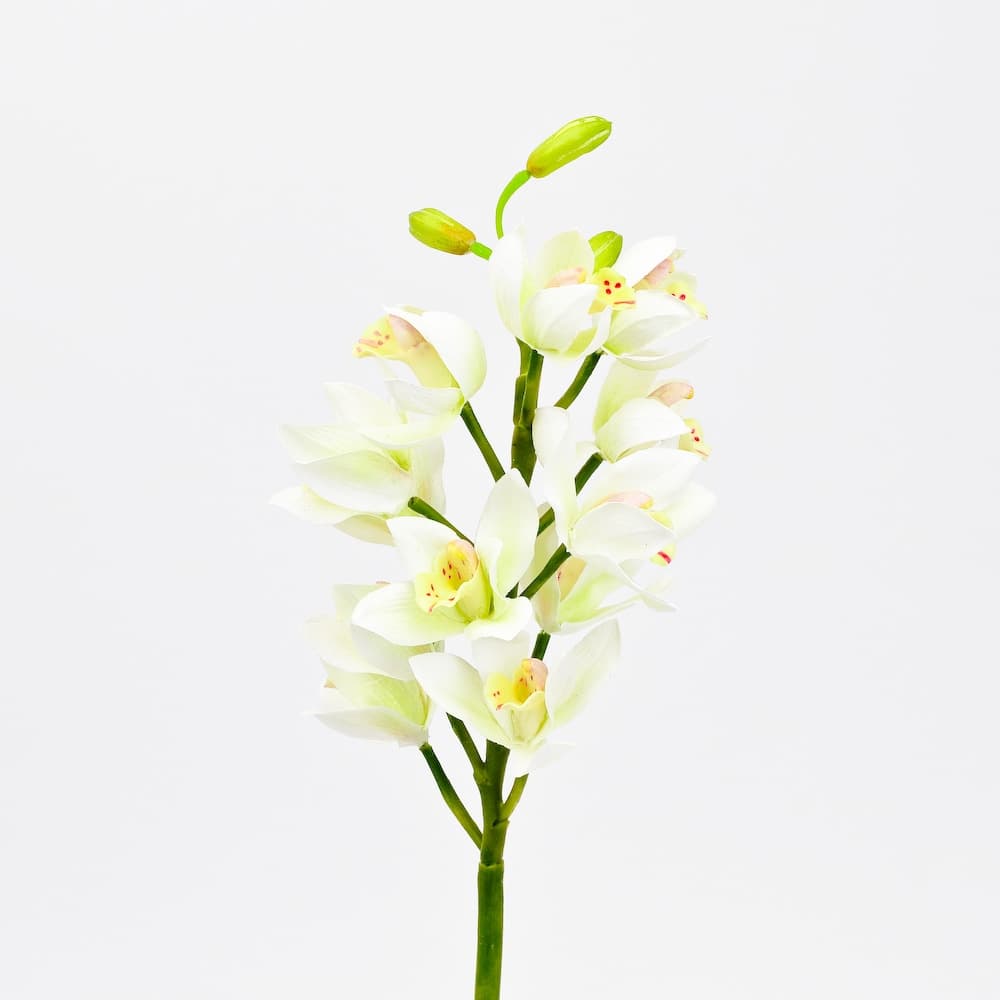 Cymbidium Orchid Spray Synthetic - White