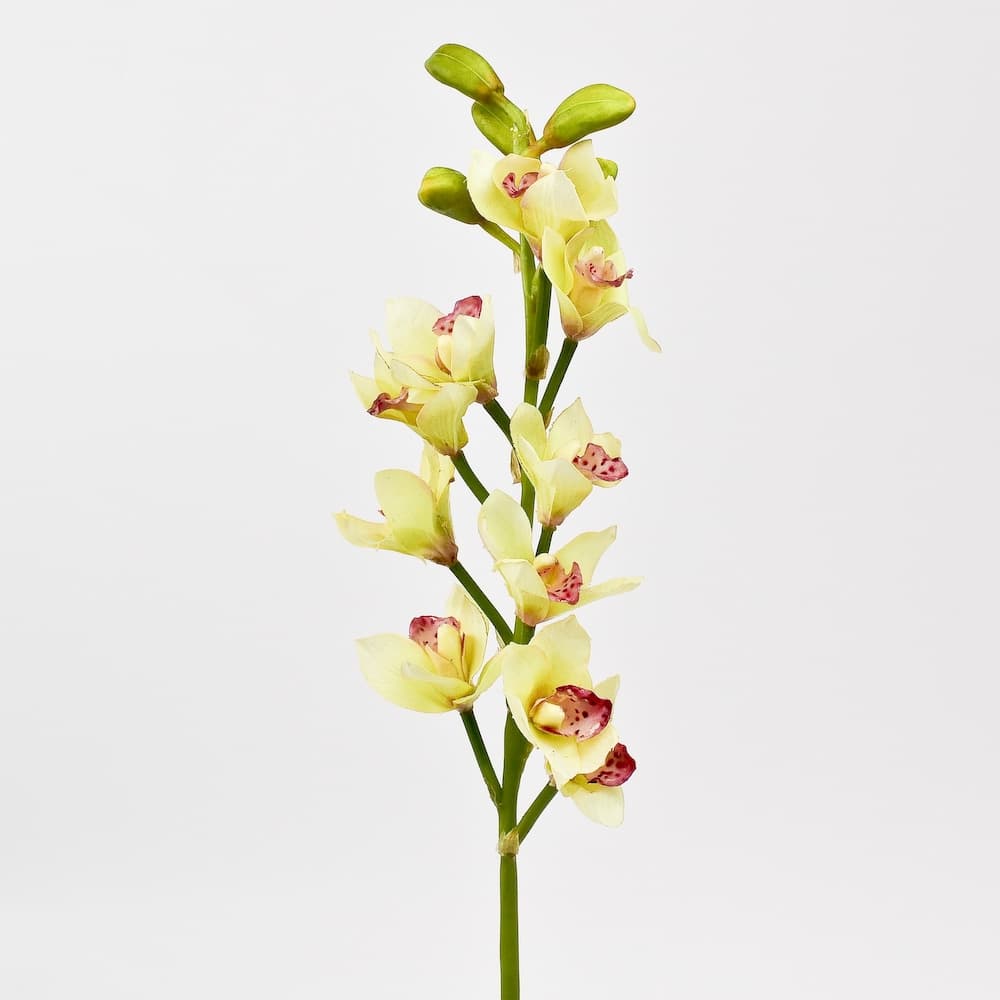 Cymbidium Orchid Spray Synthetic - Light Green