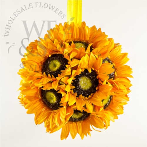 9" Gerbera Daisy Kissing Ball