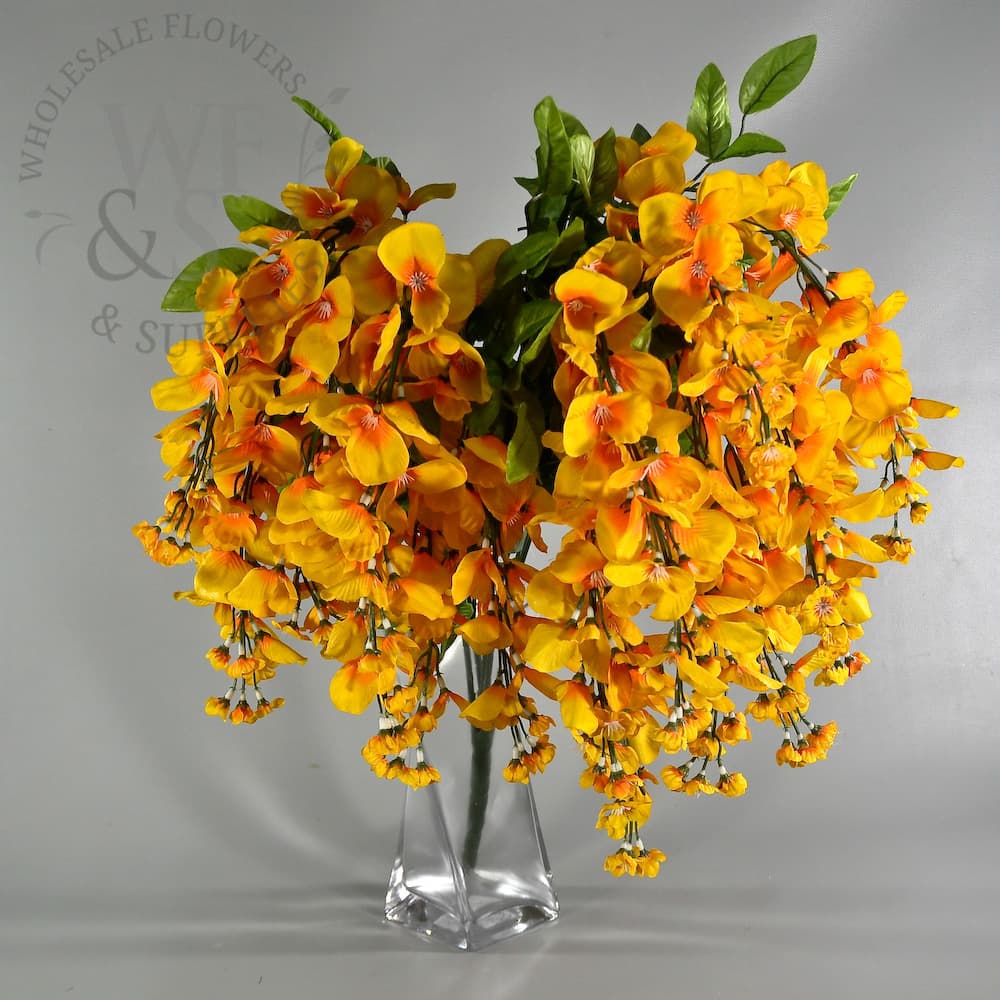 36" Wisteria (Dark Yellow)