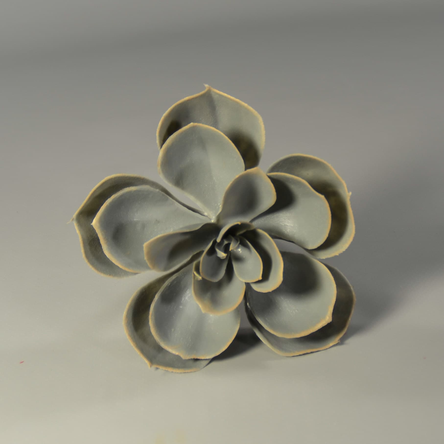 4" Echeveria Succulent Pick Grey