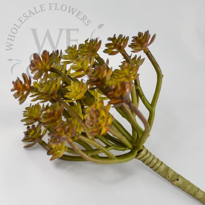 8" Sedum Succulent Bush Light Btown