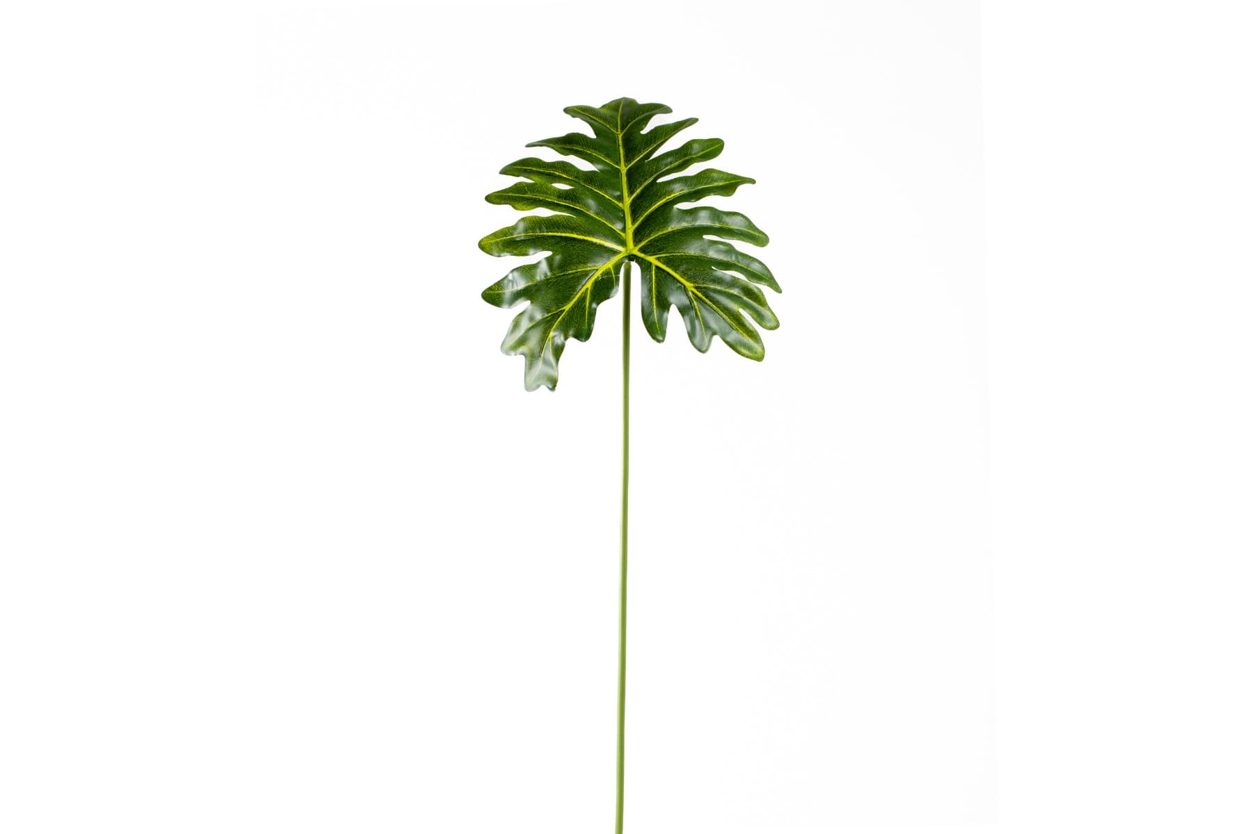 29" Green Sellom Leaf