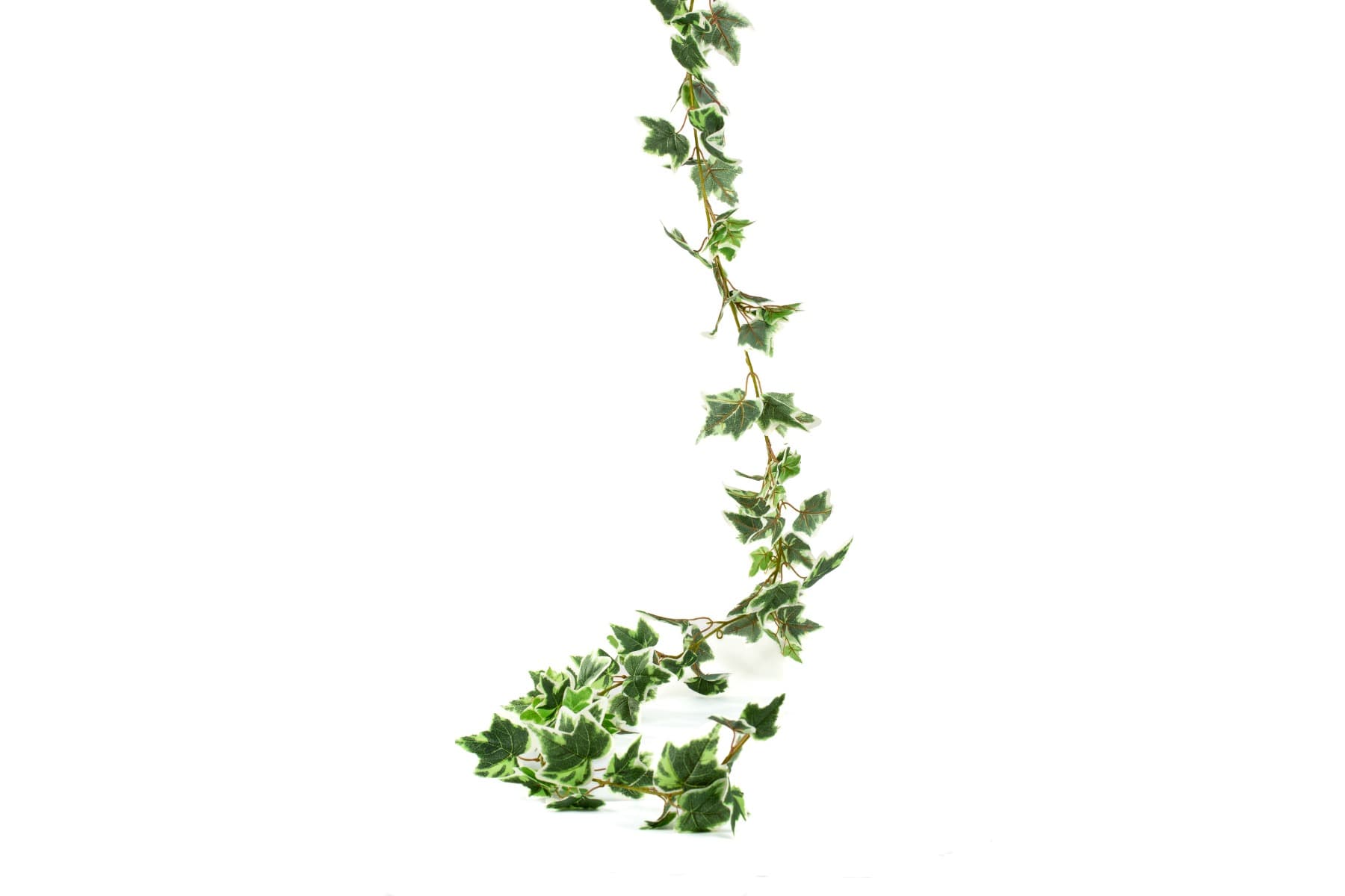 6' Variegated Ivy Silk Garland