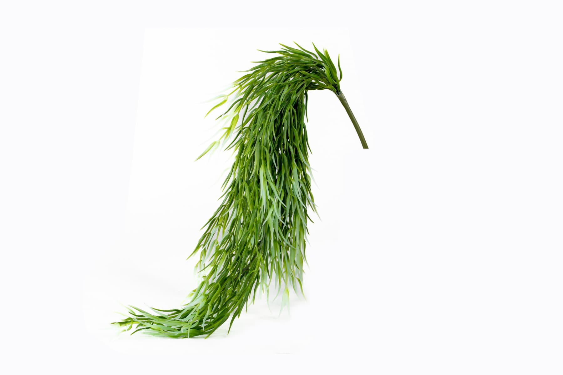 26" Hanging Cactus Bush