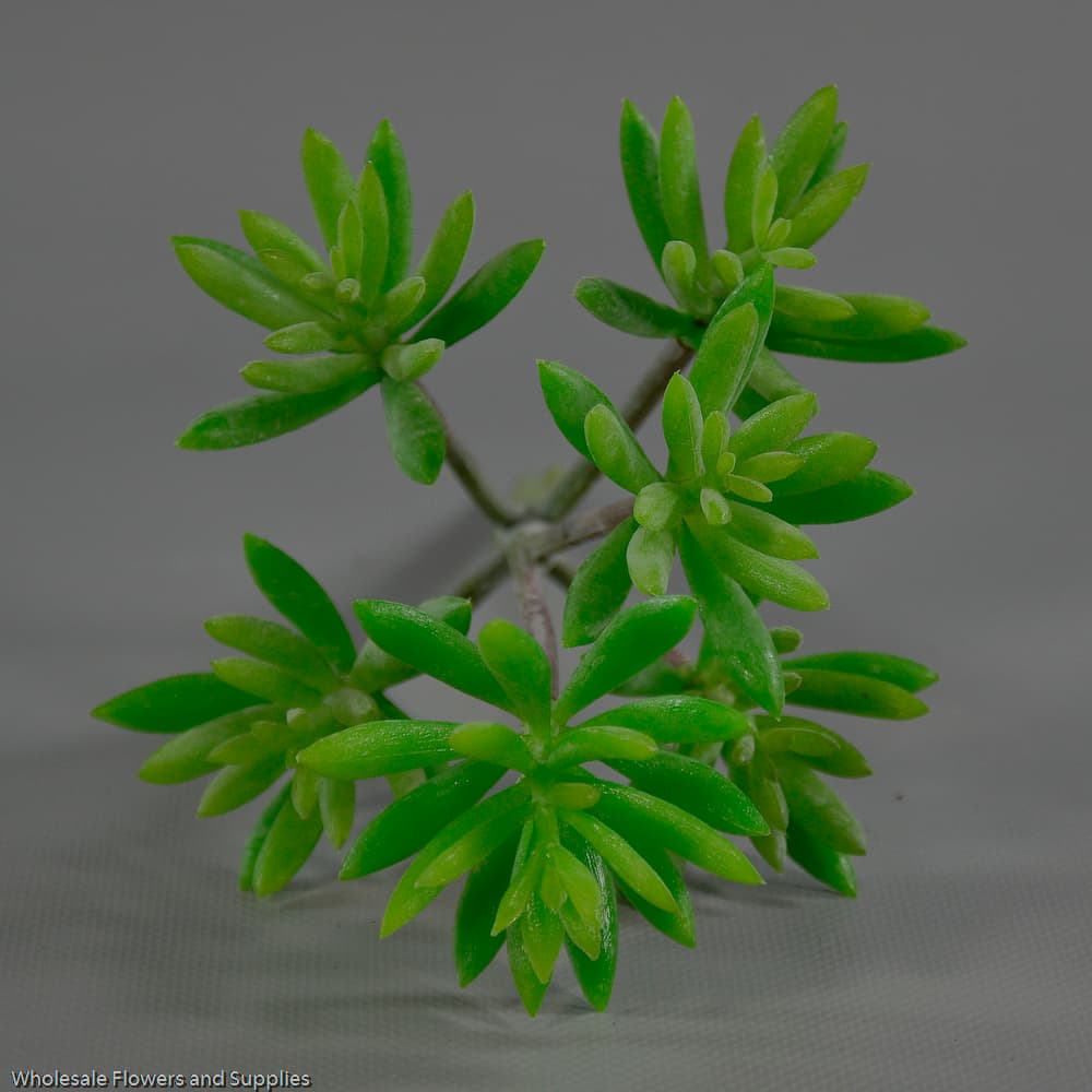 11" plastic sedum stem gr asf