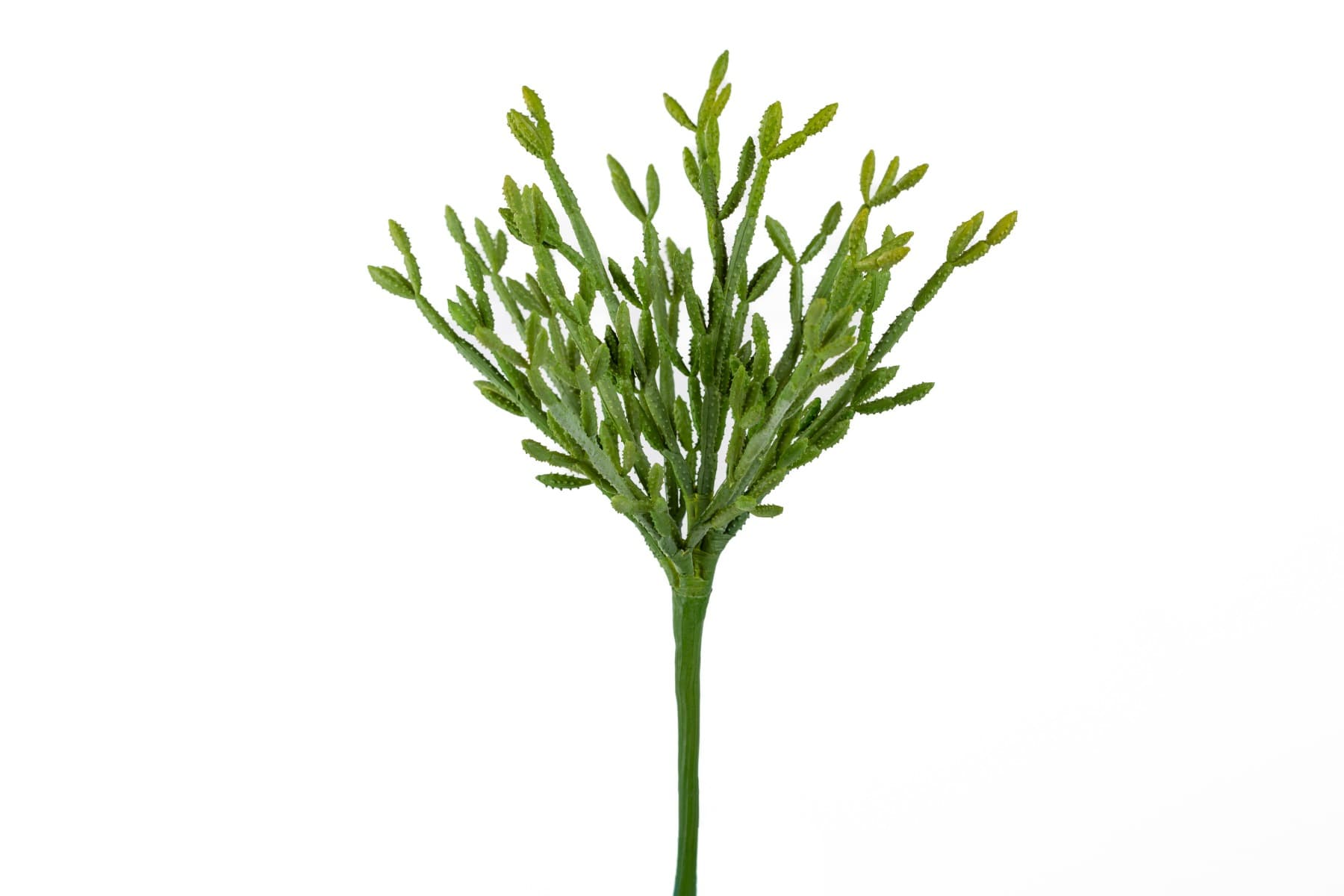 10 1/2" Green Pencil Cactus Spray