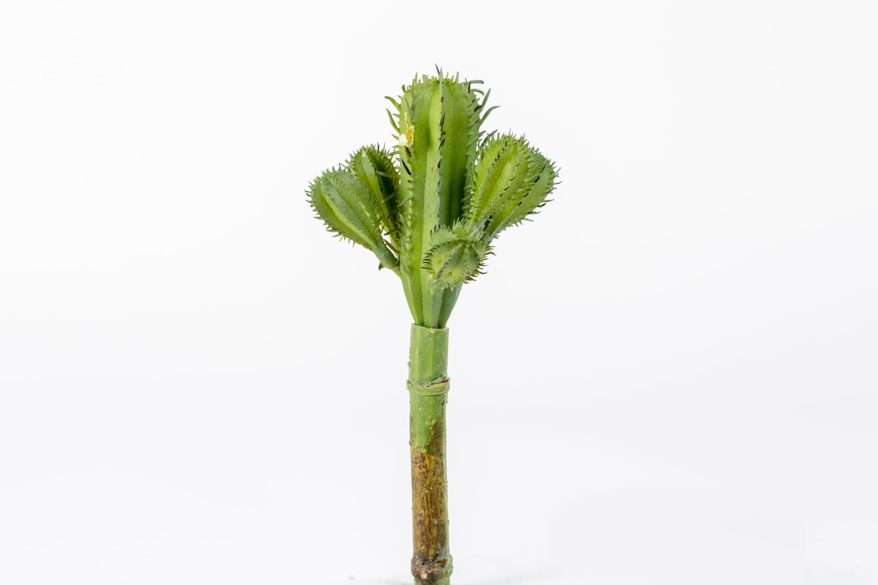 7" Mini Column Cactus Pick GR