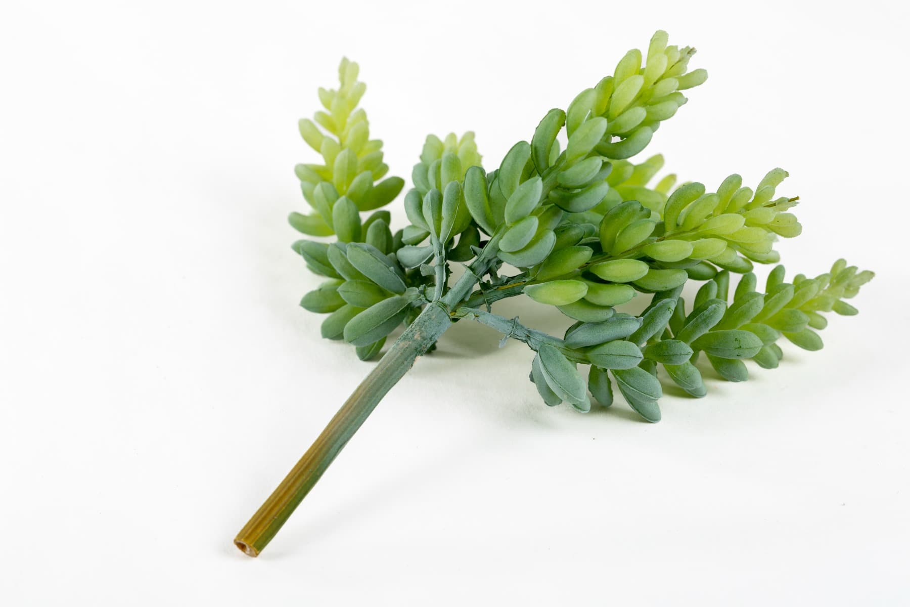 7.5" Soft Sedum Pick GR/GY