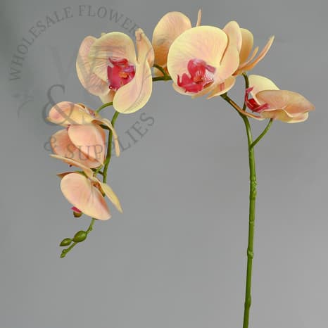 36" Phalaenopsis Orchid Stem Synthetic- Peach w/ Hot Pink Center