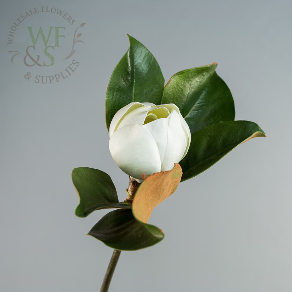 Silk Faux Two-tone White Magnolia 24"