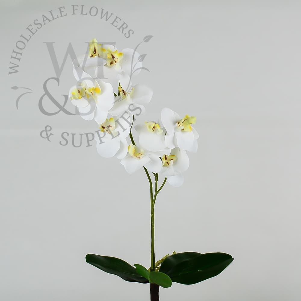 16" White Orchid Phalaenopsis Stem