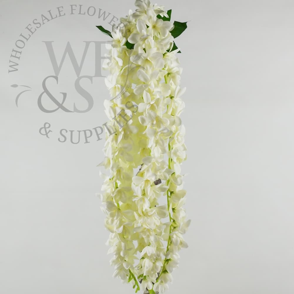 Delphinium Hanging Bush 34 inches