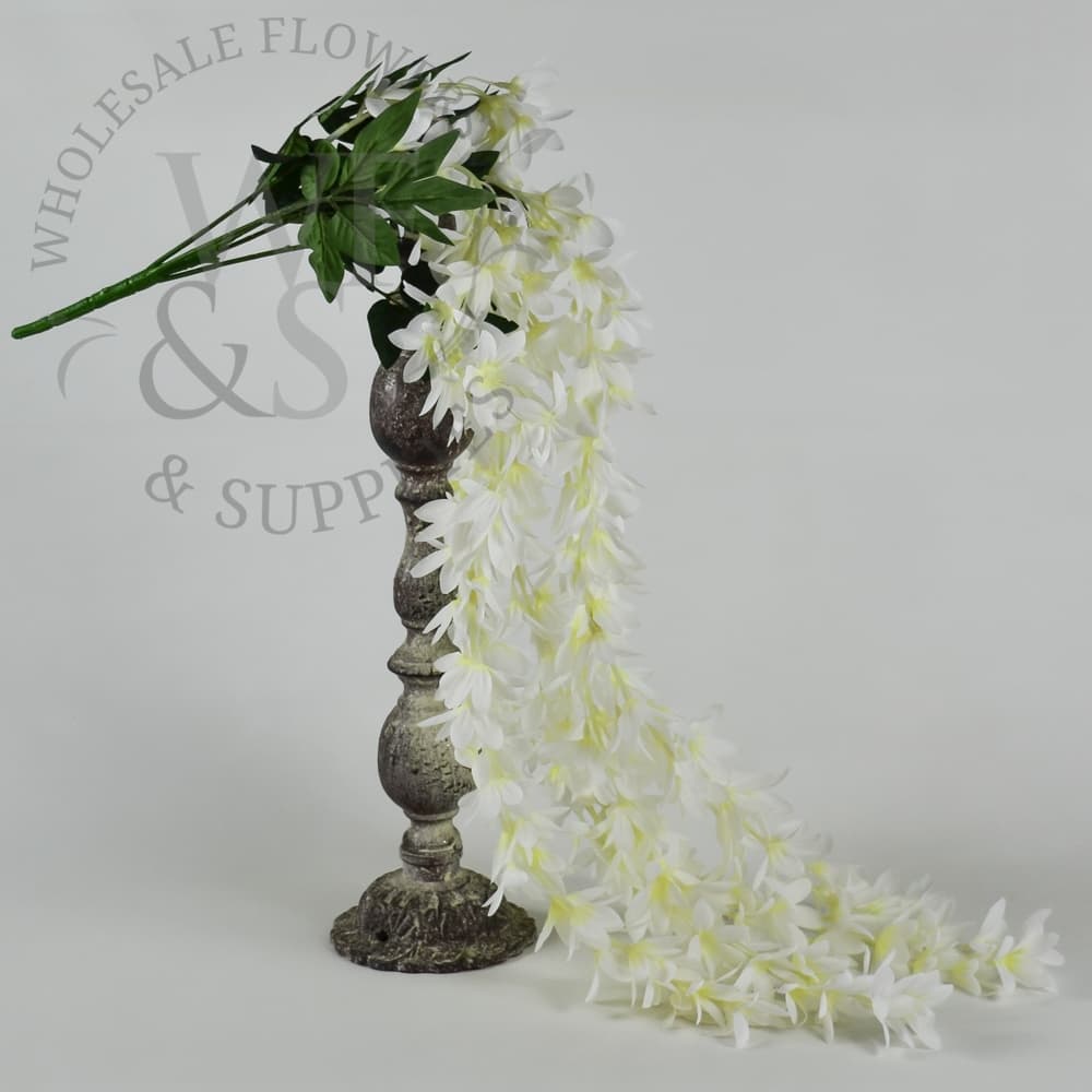 Hanging Star Flower Bush 36 inches long