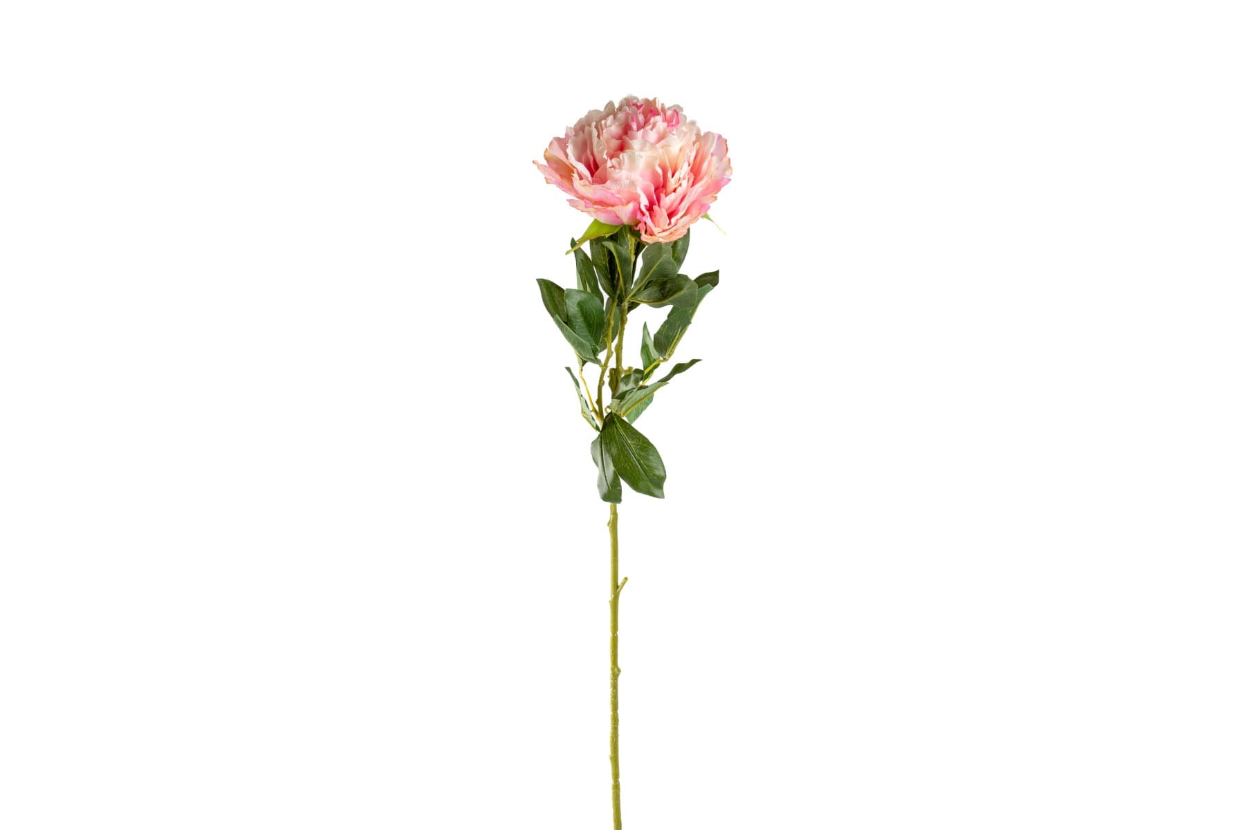 37" Peony Stem Pink
