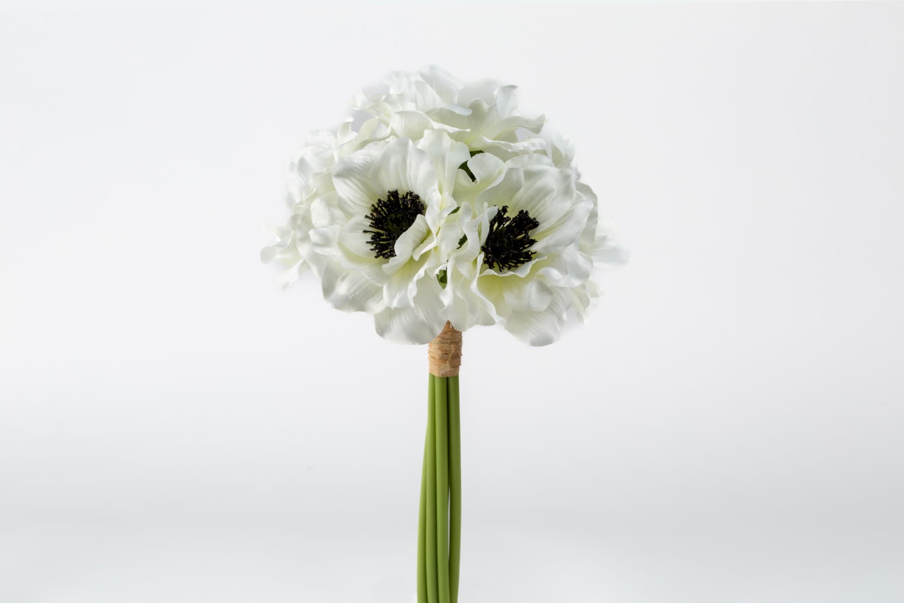 12" White Anemone bundle