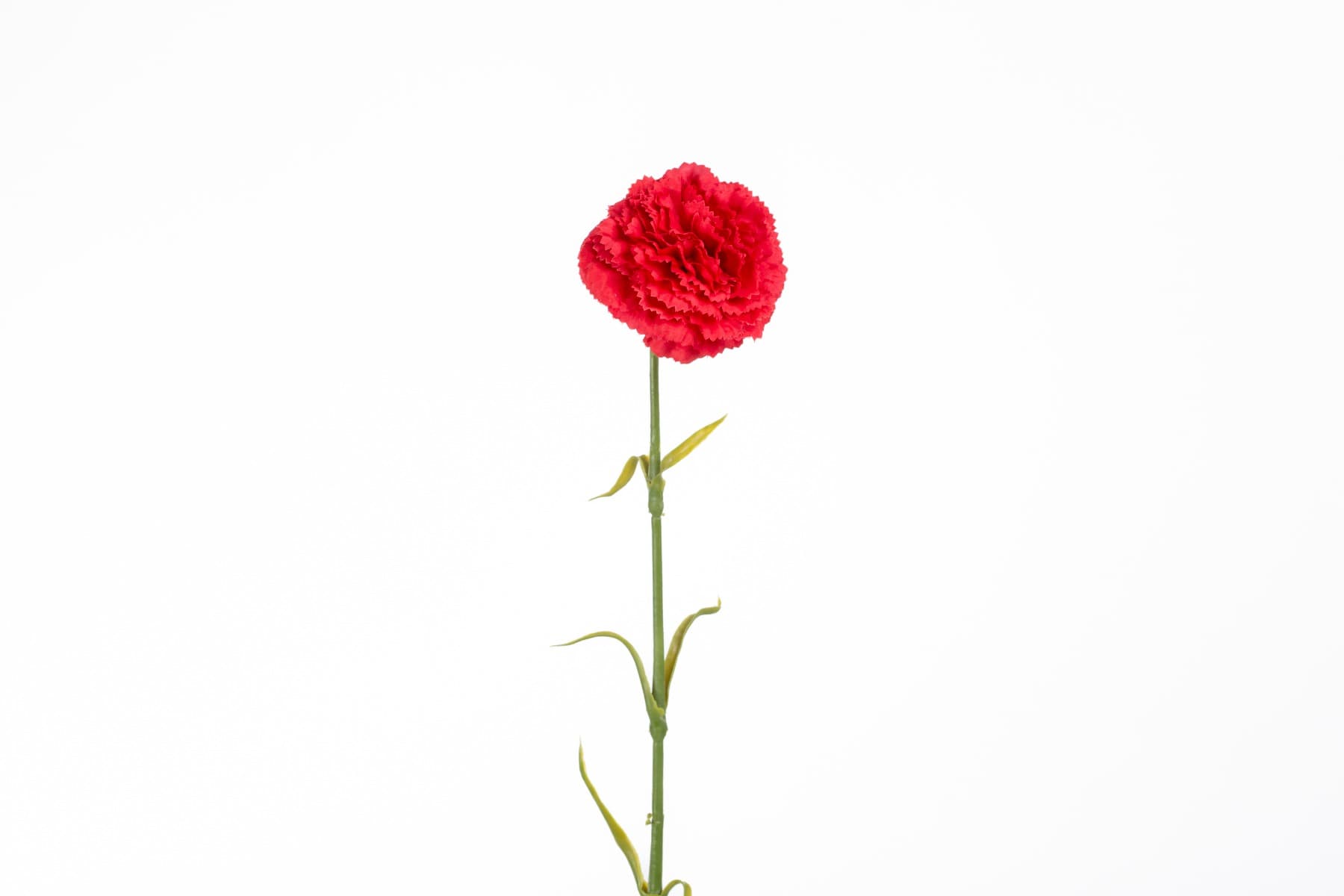 17" Red Carnation spray