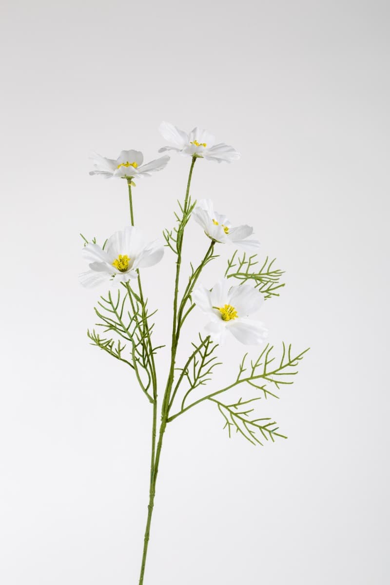 26" White Cosmos Spray