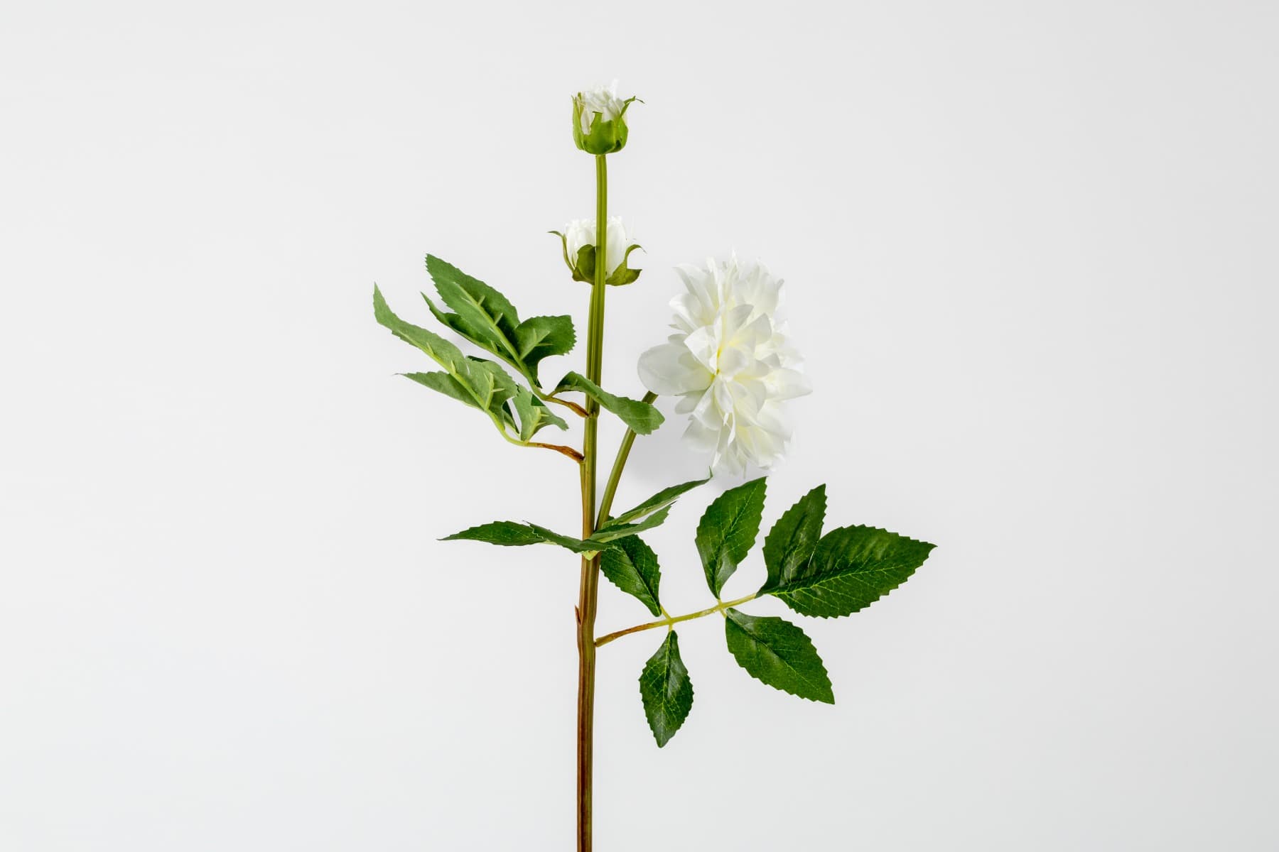 21" Cream Silk Dahlia Flower Stem