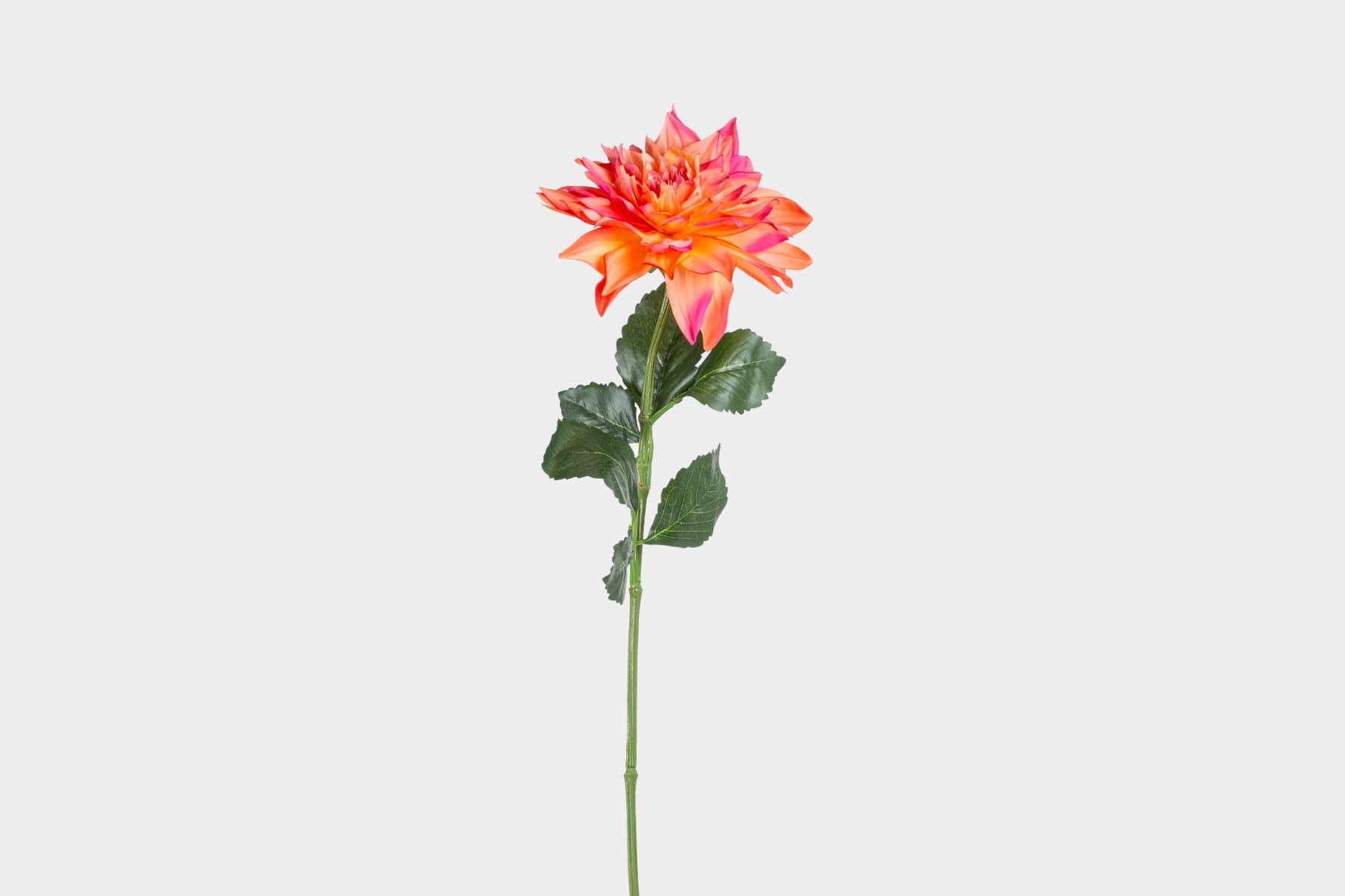 27" Coral Dahlia Spray