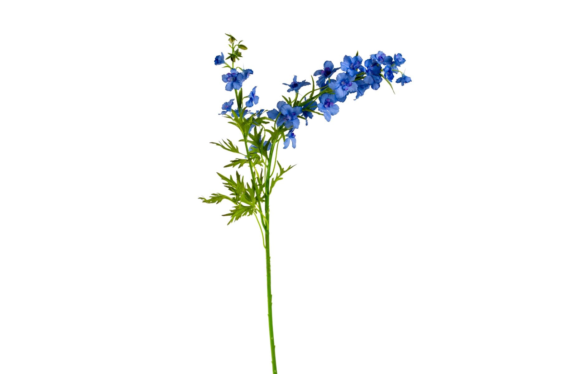 39" Blue Delphinium Spray