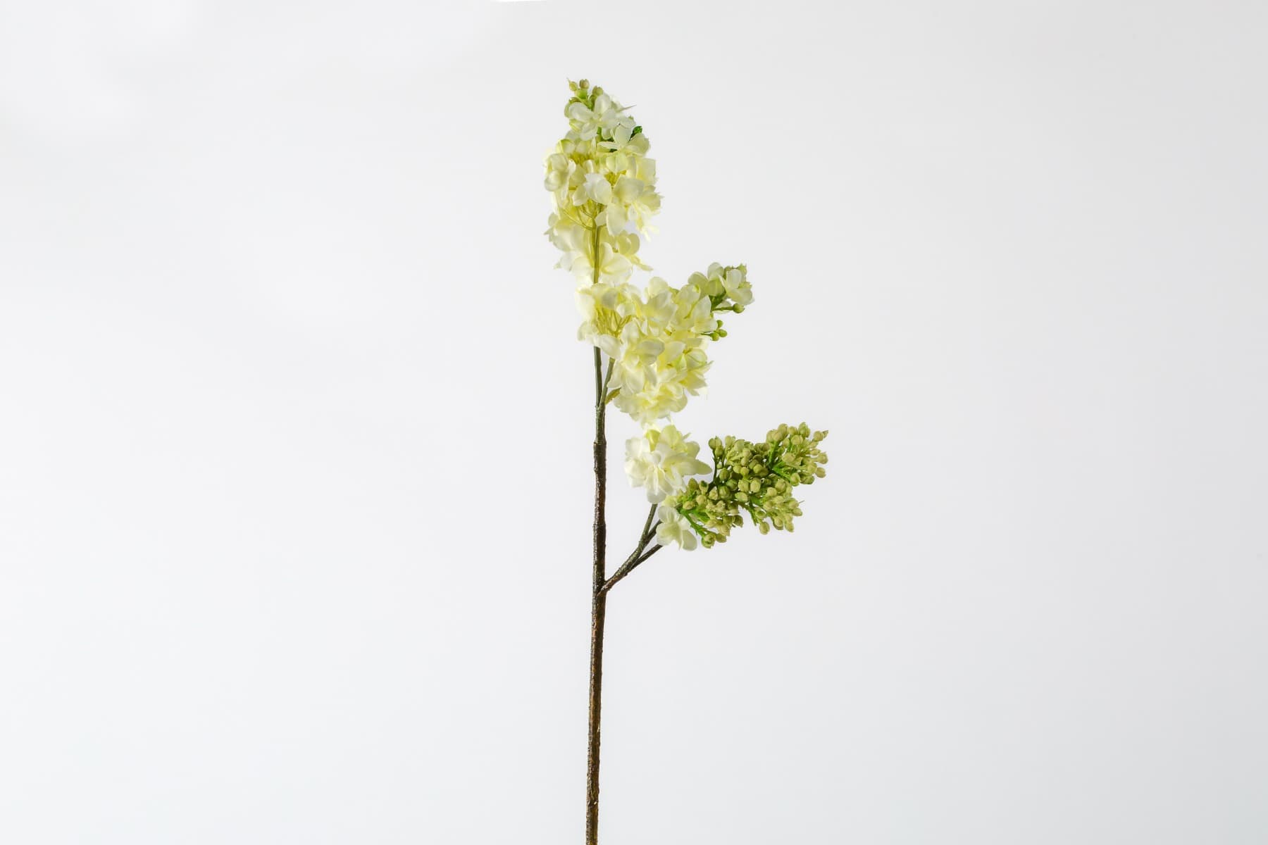 25" Cream Lilac Spray X3