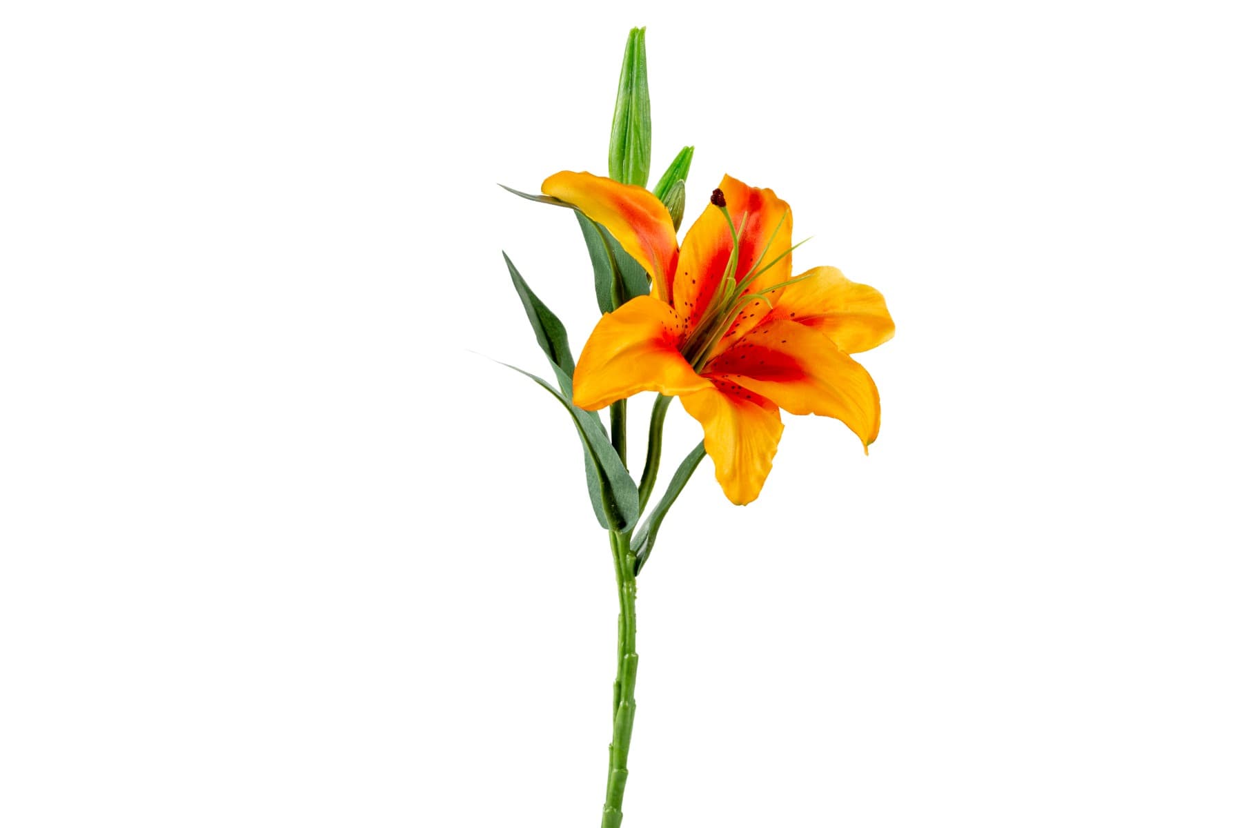 15´´ Orange Day Lily Spray