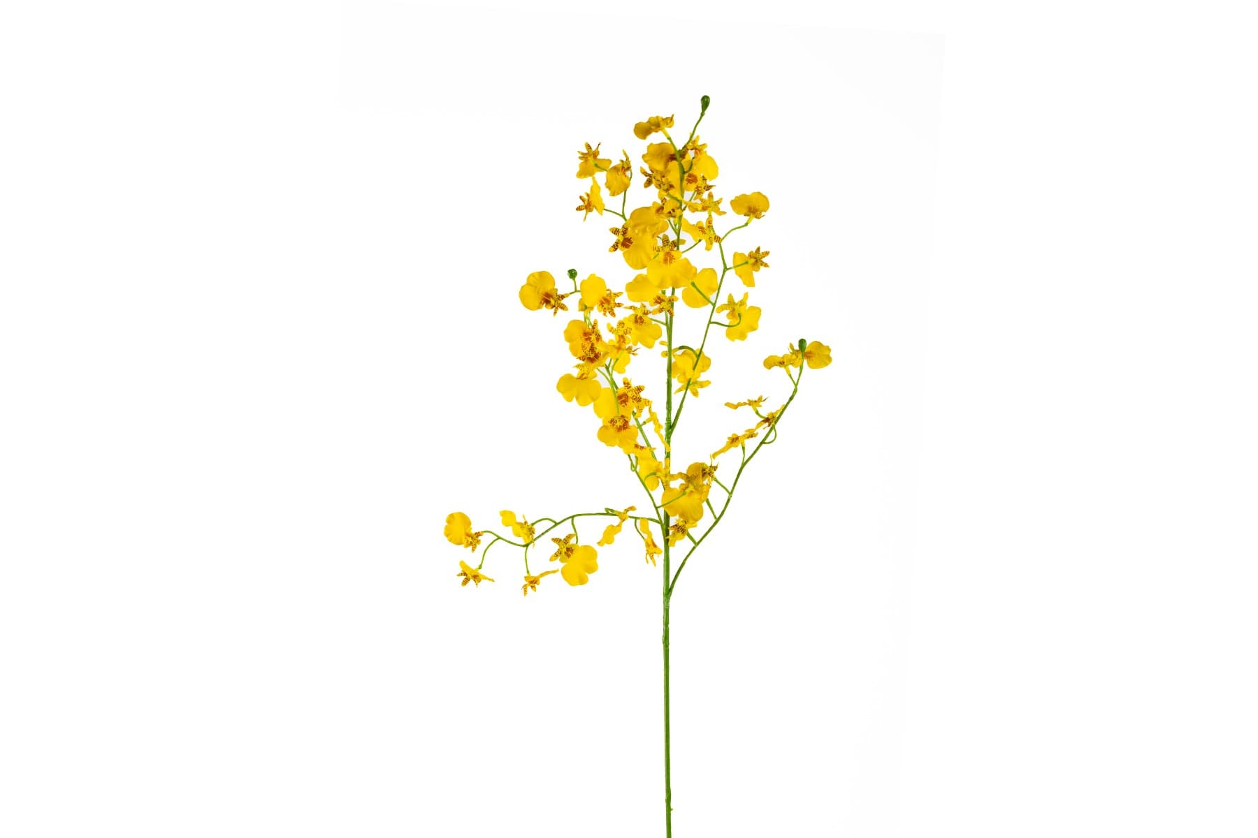 31.5" Yellow Oncidium Orchid Spray