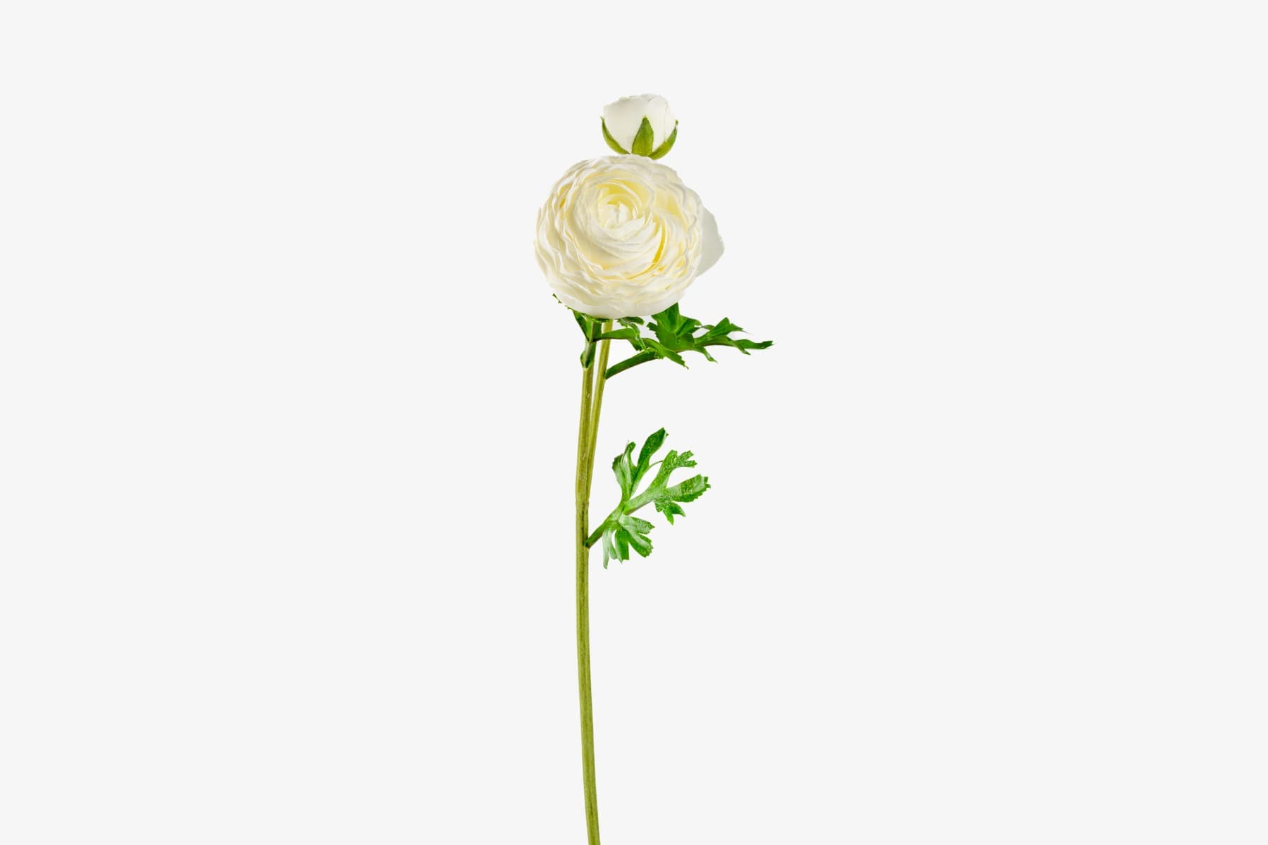 22" Real Touch Ranunculus Spray