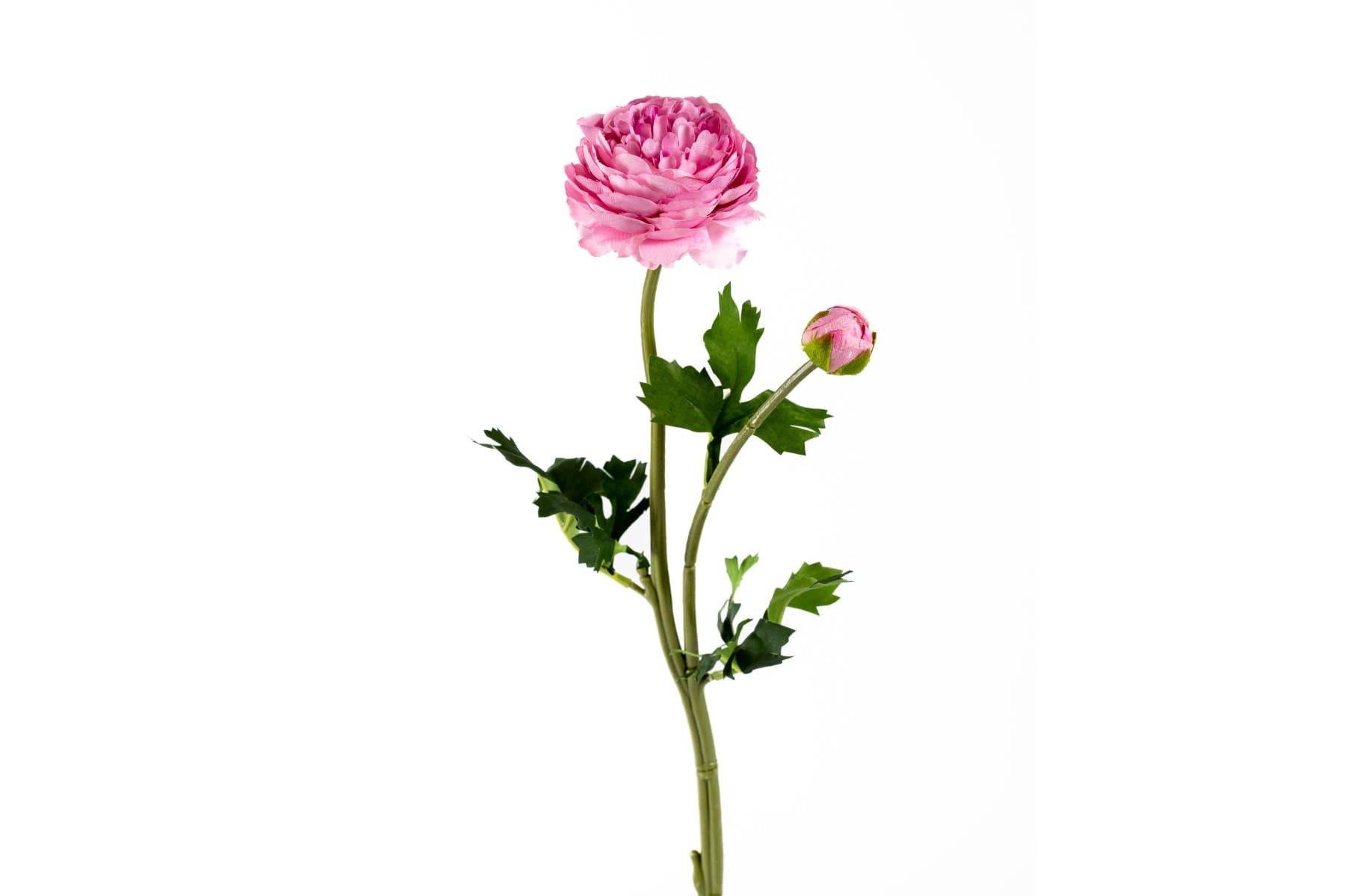 18.9" Ranunculus Pink