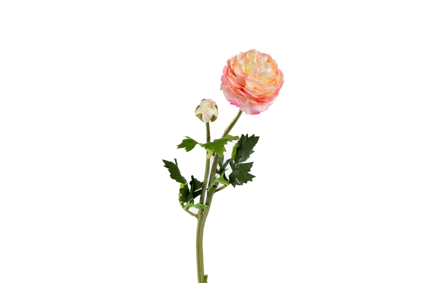 18.9" Cream Pink Ranunculus Spray
