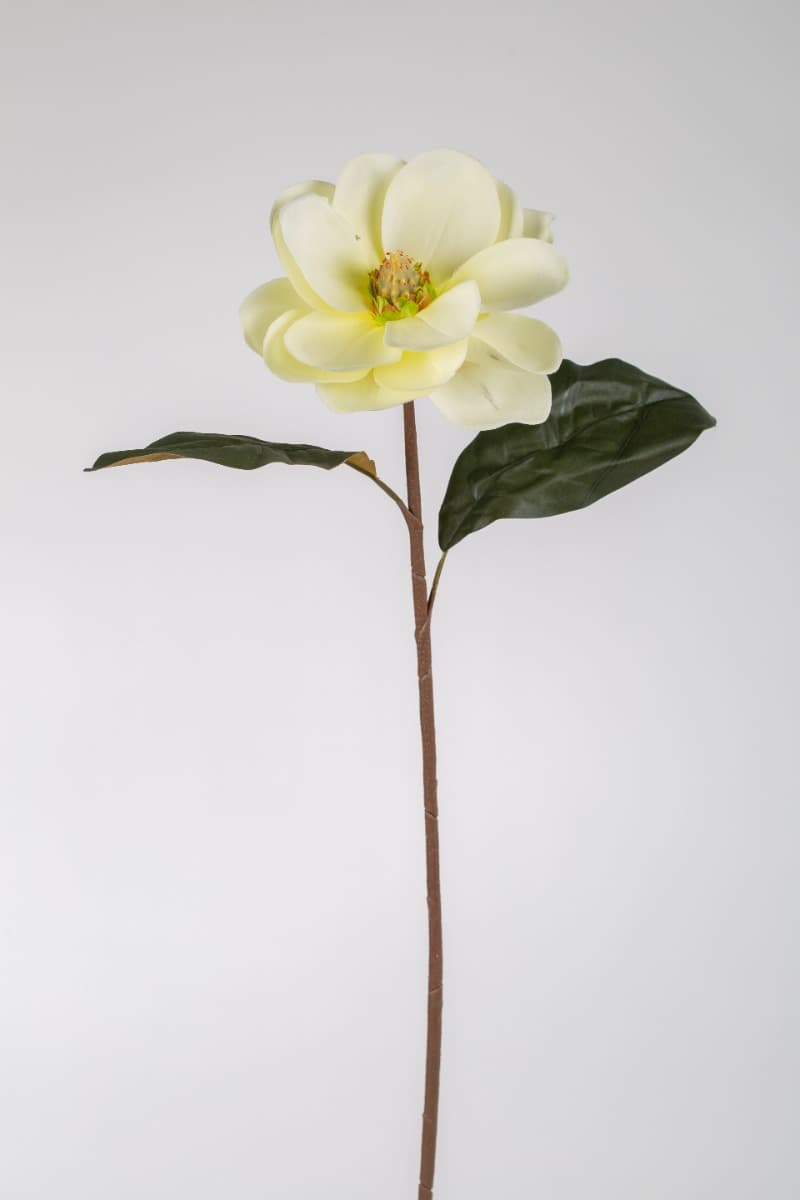 25" Magnolia Spray