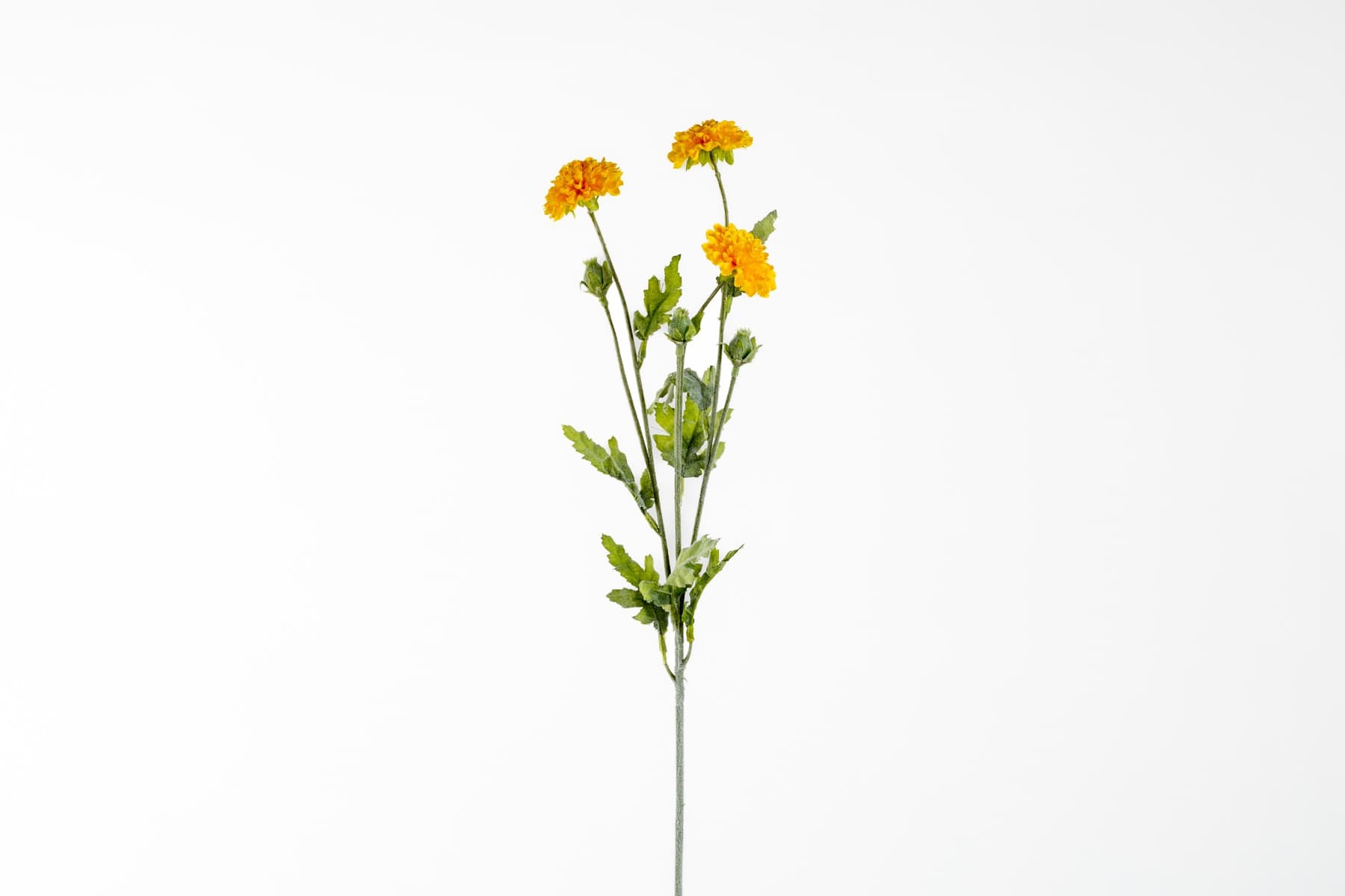 28" Yellow Pom Pom Spray