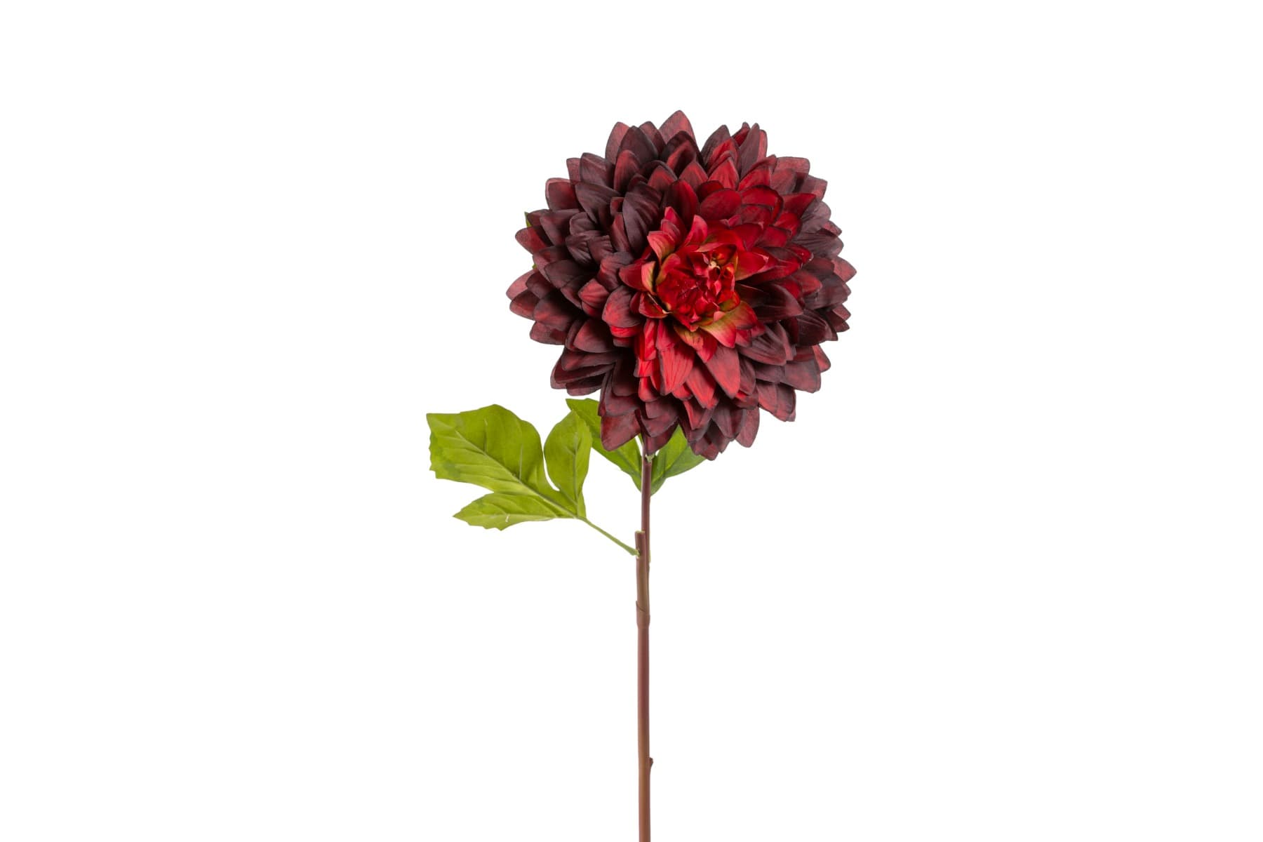 25.5" Burgundy Dinner Plate Dahlia Spray