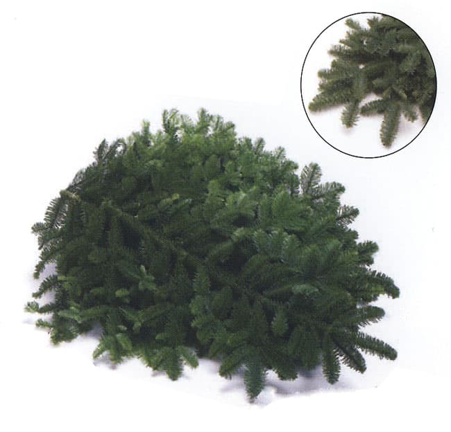 Noble Fir Tips
