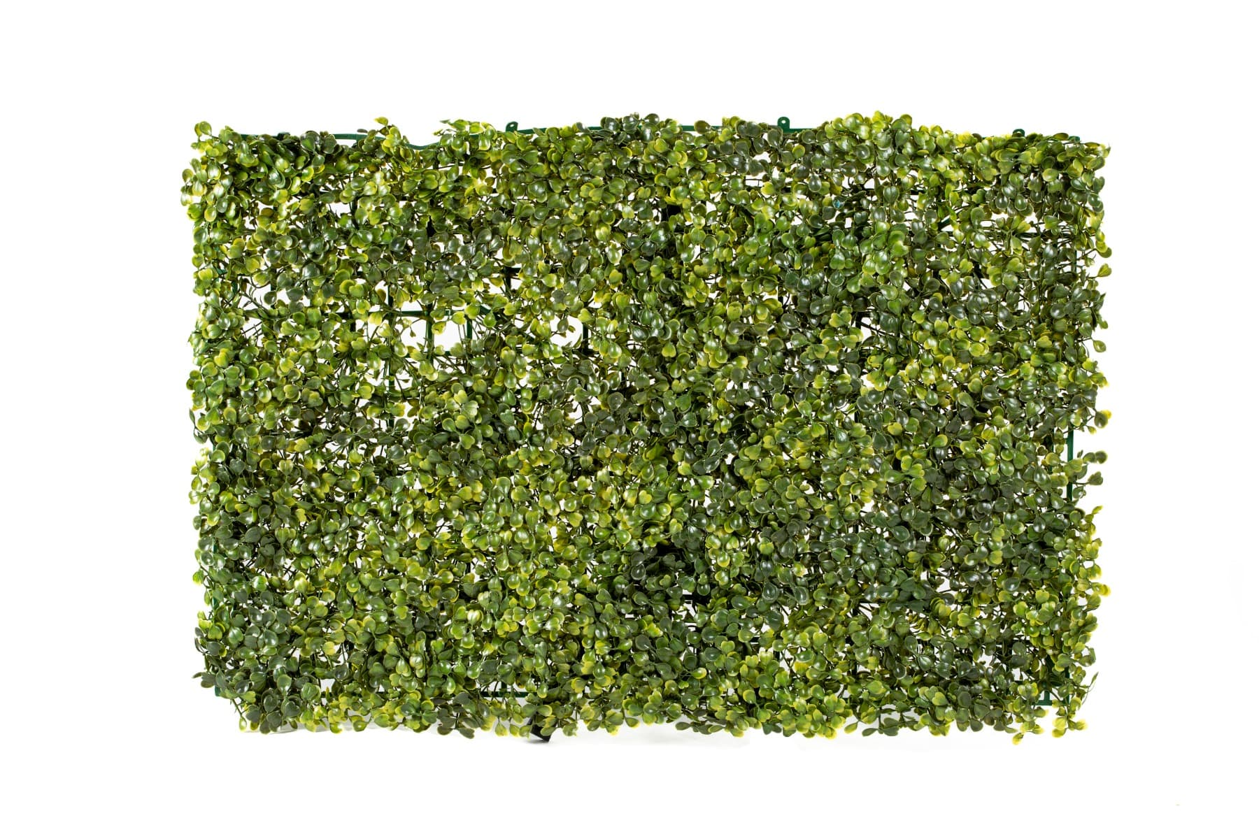 24" x 16" Boxwood Wall Panel Backdrop